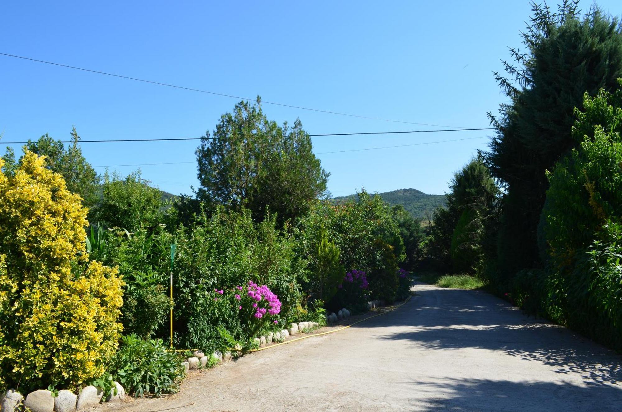 Casa Rural La Vall Del Cadi La Seu d'Urgell Exterior photo